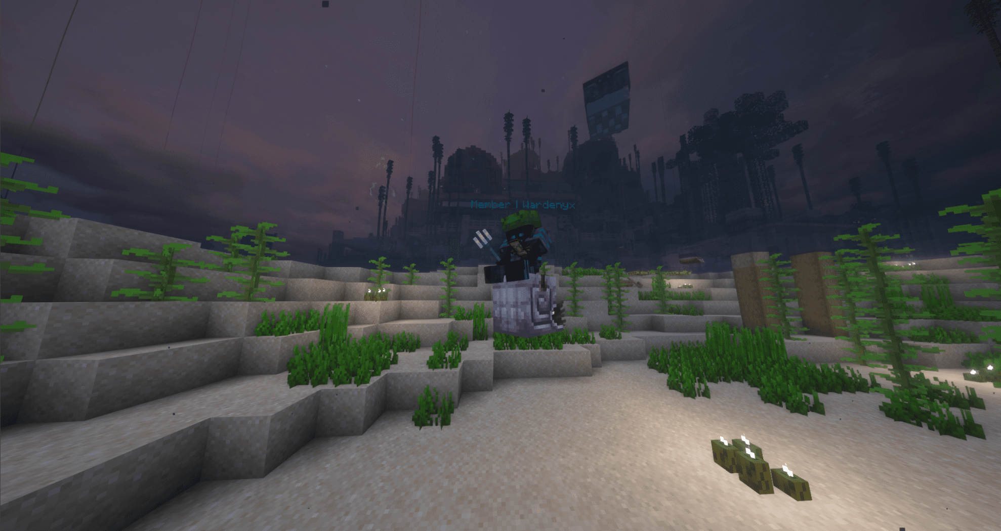 Week 4 Competition: Zombie Nautilus Killed